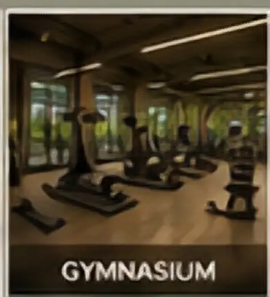 Gymnasium rendering from the project project bundle